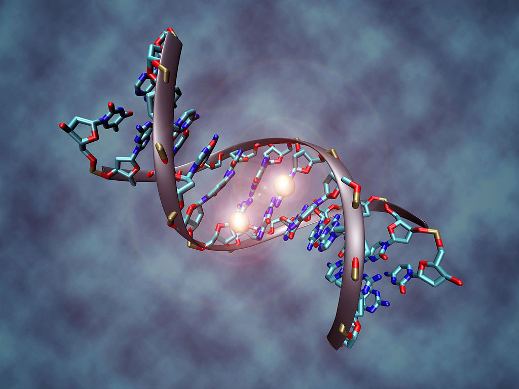 Epigenetica