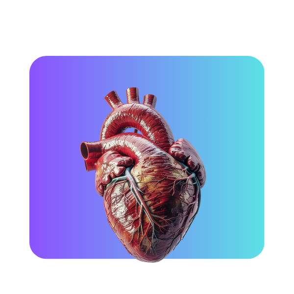 cardiologia