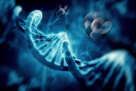 oncogenética