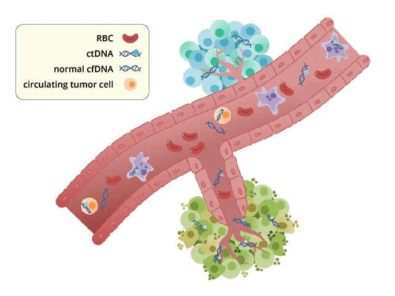 ctDNA: o biomarcador que está mudando o jogo
